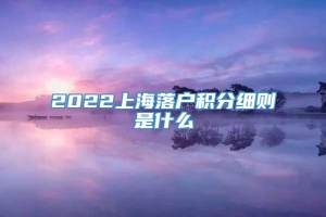 2022上海落户积分细则是什么