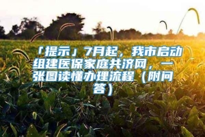 「提示」7月起，我市启动组建医保家庭共济网，一张图读懂办理流程（附问答）