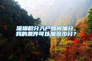 深圳积分入户如何加分，我的条件可以加多少分？