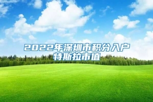 2022年深圳市积分入户特斯拉市值