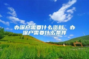 办深户需要什么资料，办深户需要什么条件