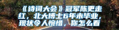 《诗词大会》冠军陈更走红，北大博士6年未毕业，现状令人惋惜，你怎么看