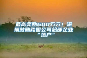 最高奖励600万元！深圳鼓励跨国公司总部企业“落户”