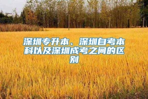 深圳专升本、深圳自考本科以及深圳成考之间的区别