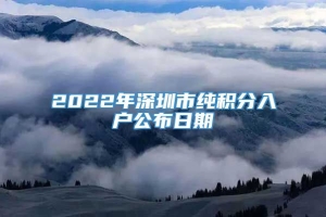 2022年深圳市纯积分入户公布日期