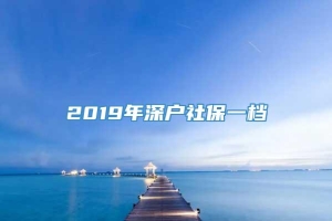 2019年深户社保一档