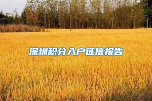 深圳积分入户征信报告