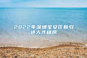 2022年深圳宝安区新引进人才租房