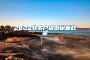 2022非农户口低保新政策