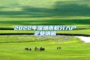 2022年深圳市积分入户企业纳税