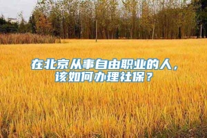 在北京从事自由职业的人，该如何办理社保？