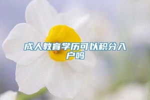 成人教育学历可以积分入户吗