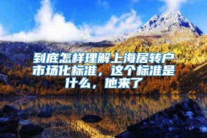 到底怎样理解上海居转户市场化标准，这个标准是什么，他来了