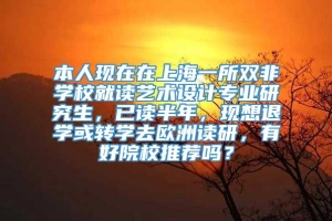 本人现在在上海一所双非学校就读艺术设计专业研究生，已读半年，现想退学或转学去欧洲读研，有好院校推荐吗？