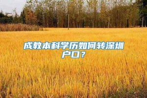 成教本科学历如何转深圳户口？