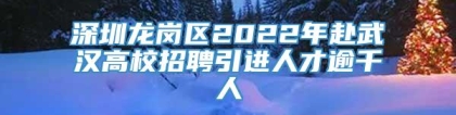 深圳龙岗区2022年赴武汉高校招聘引进人才逾千人