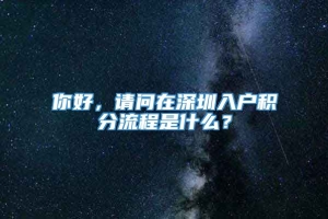 你好，请问在深圳入户积分流程是什么？