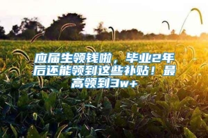 应届生领钱啦，毕业2年后还能领到这些补贴！最高领到3w+