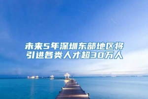 未来5年深圳东部地区将引进各类人才超30万人