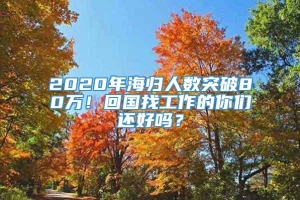 2020年海归人数突破80万！回国找工作的你们还好吗？