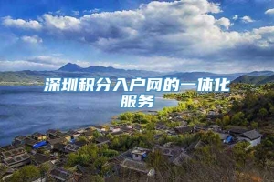 深圳积分入户网的一体化服务