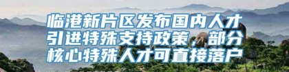 临港新片区发布国内人才引进特殊支持政策，部分核心特殊人才可直接落户