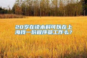 20岁在读本科可以在上海找一份程序员工作么？