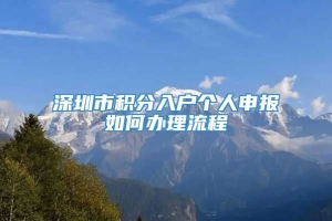 深圳市积分入户个人申报如何办理流程