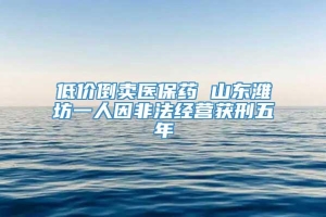 低价倒卖医保药 山东潍坊一人因非法经营获刑五年