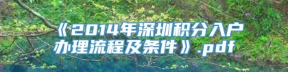 《2014年深圳积分入户办理流程及条件》.pdf