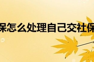 辞职后社保怎么处理自己交社保怎样交