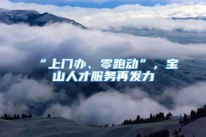 “上门办、零跑动”，宝山人才服务再发力