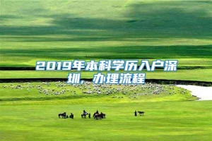 2019年本科学历入户深圳, 办理流程