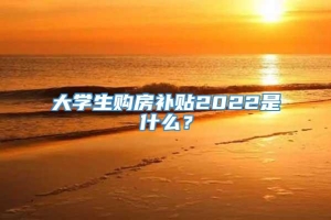 大学生购房补贴2022是什么？