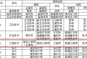 2021落户上海的助攻必备神“证”——职称！附职称常见问题解答哦~