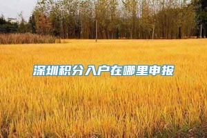 深圳积分入户在哪里申报