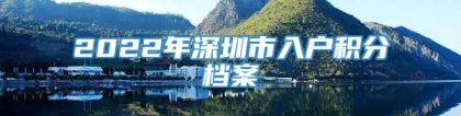 2022年深圳市入户积分档案