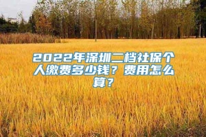 2022年深圳二档社保个人缴费多少钱？费用怎么算？