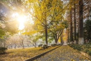 华东师范大学：对不起，上海财经大学，我的应届生可直接落户上海