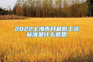 2022上海市月最低工资标准是什么意思