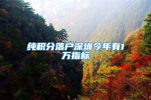 纯积分落户深圳今年有1万指标