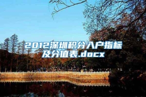 2012深圳积分入户指标及分值表.docx