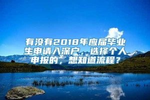 有没有2018年应届毕业生申请入深户，选择个人申报的，想知道流程？