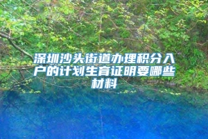 深圳沙头街道办理积分入户的计划生育证明要哪些材料