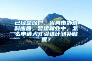 已经是深户，省内市外本科应届，暂缓就业中，怎么申请人才引进计划补贴呢？