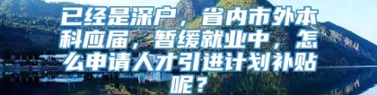 已经是深户，省内市外本科应届，暂缓就业中，怎么申请人才引进计划补贴呢？