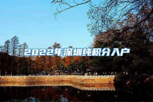 2022年深圳纯积分入户