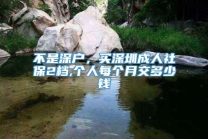 不是深户，买深圳成人社保2档,个人每个月交多少钱