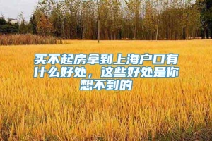 买不起房拿到上海户口有什么好处，这些好处是你想不到的