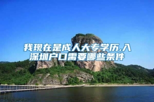 我现在是成人大专学历,入深圳户口需要哪些条件